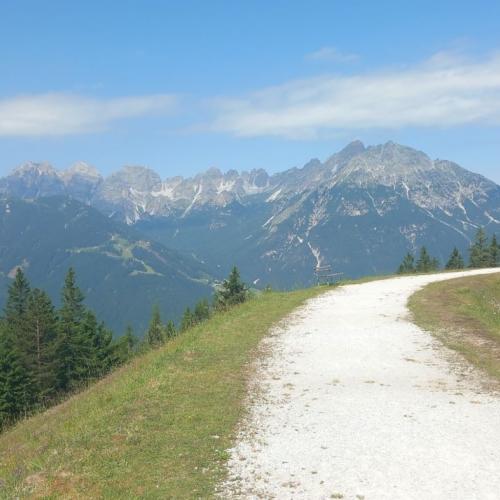 Sommerrodelbahn