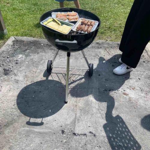 Grillen 1C