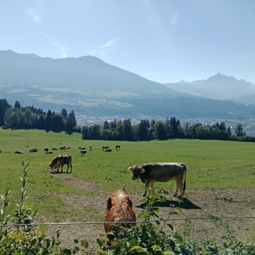 Wandertag