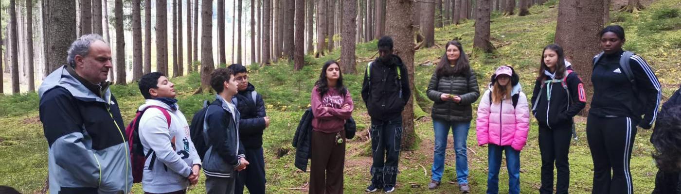 Die 3c erlebt einen spannenden Projekttag in der Erlebnisfabrik Wald.