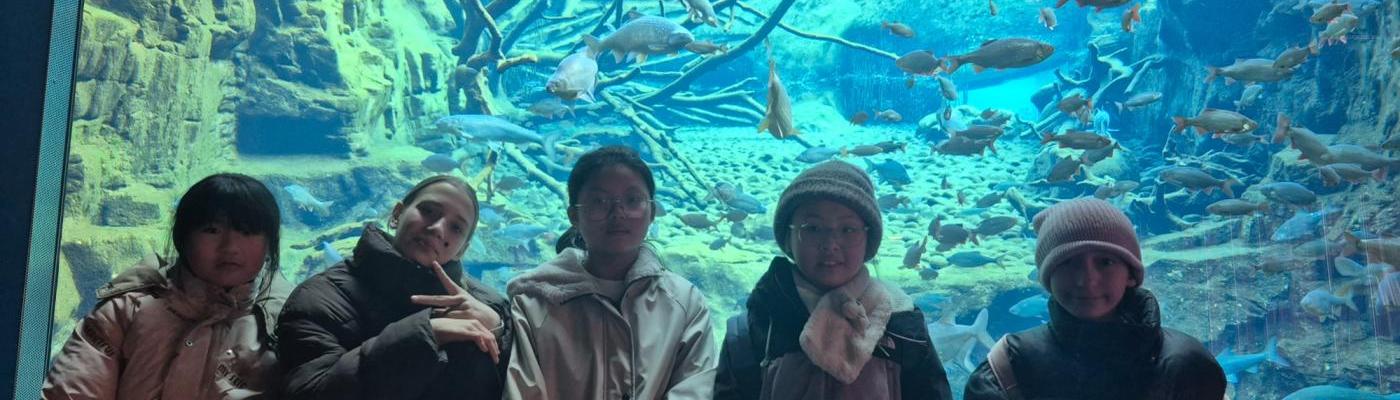 Ein Besuch im Alpenzoo