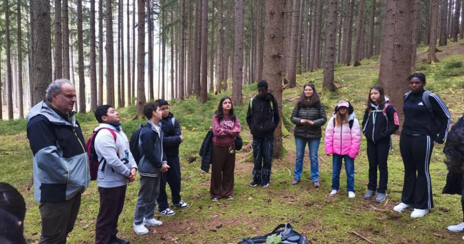 Die 3c erlebt einen spannenden Projekttag in der Erlebnisfabrik Wald.